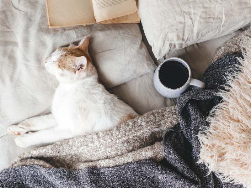 Hygge morning routine